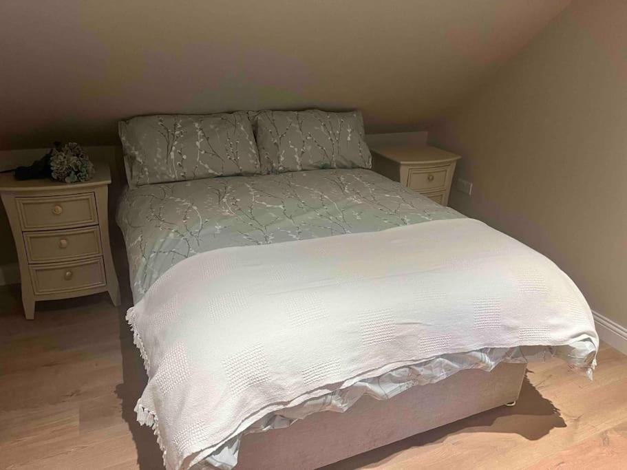 Mid Antrim Modern Apartment Newferry Ngoại thất bức ảnh
